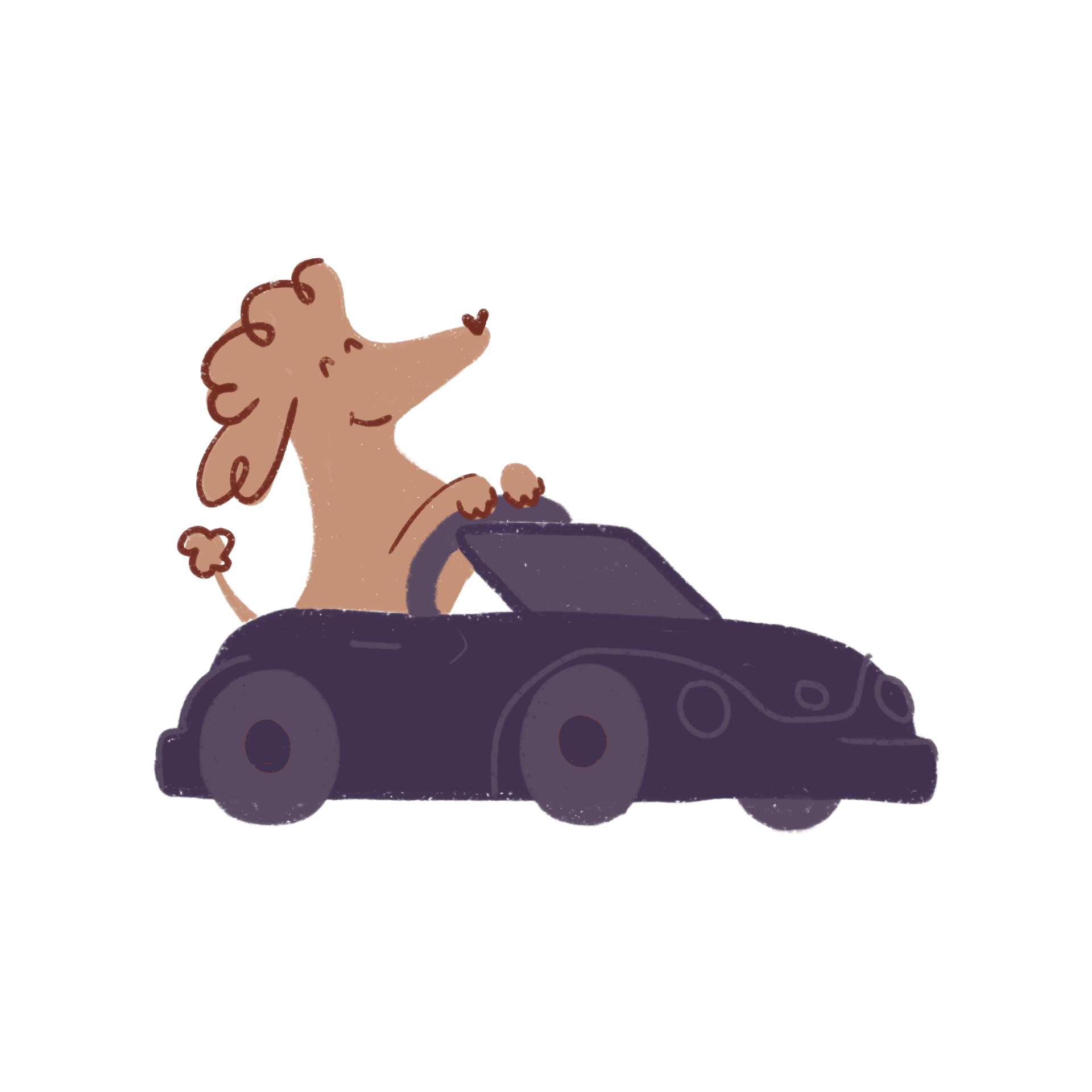car-dog